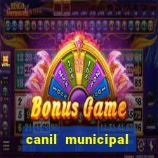 canil municipal porto alegre